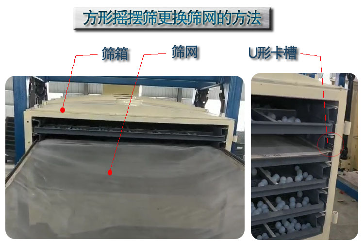 �Y�x�C�Y�W���Ӱ��b